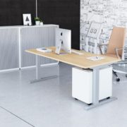 high_A_birou_single_director_1920